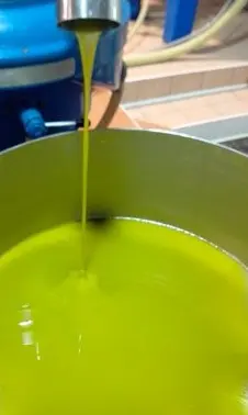 Olivenöl Frisch gepresstes Olivenöl