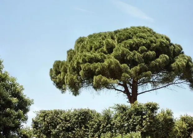 Natur Siziliens Umwelt und Natur im Einklang